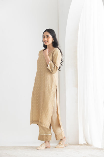Dastaan- Beige Banarsi Tissue Suit Set