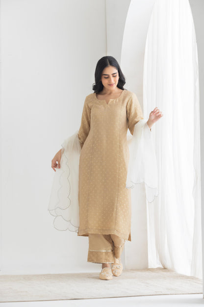 Dastaan- Beige Banarsi Tissue Suit Set