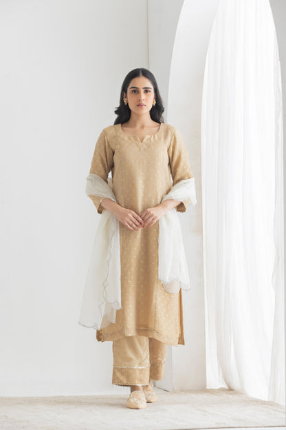Dastaan- Beige Banarsi Tissue Suit Set