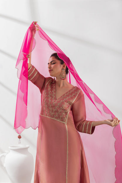 Adrika- Pink Kalidar Suit Set
