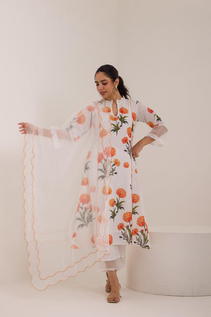 Falak White Cotton suit set