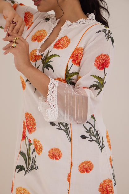 Falak White Cotton suit set