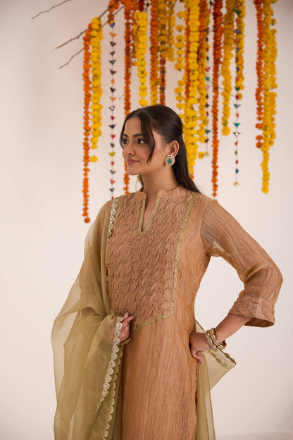 Shriya Crushed Tissue Suit set