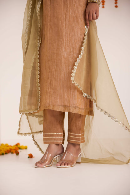 Shriya Crushed Tissue Suit set