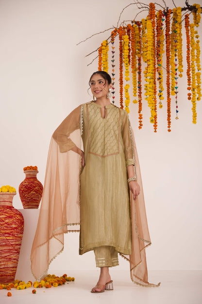 Shubhi Crushed Tissue Suit set