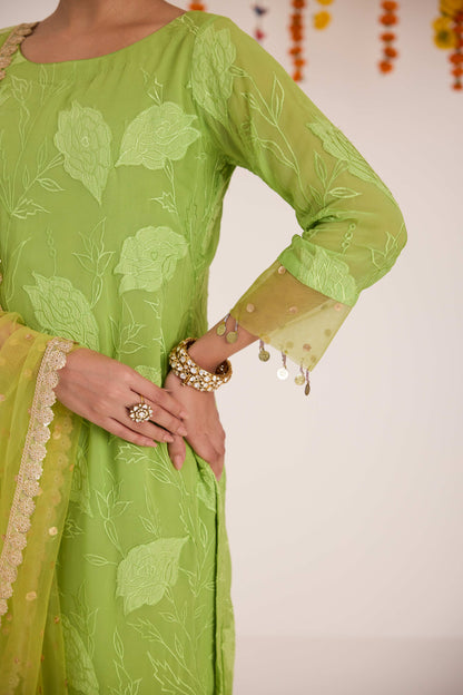 Saundarya Georgette Suit set