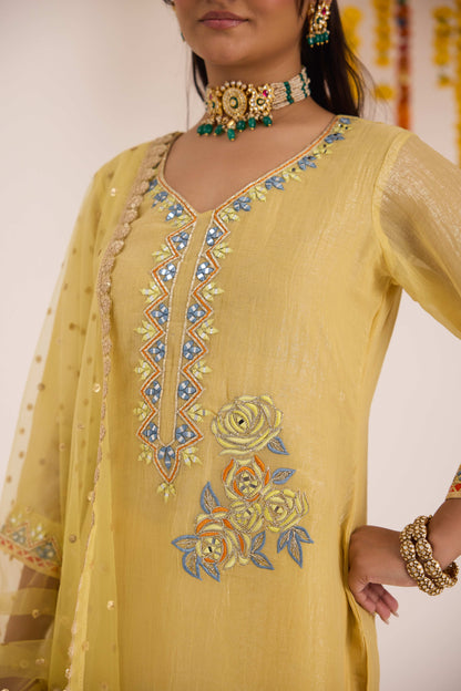 Deepti Emb Crushed Silk Suit set