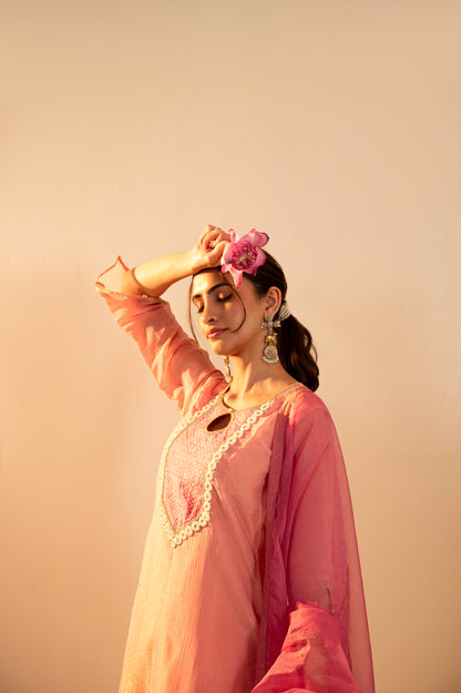 Nargis Pink Suit Set